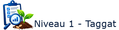 Niveau 1 - Taggat